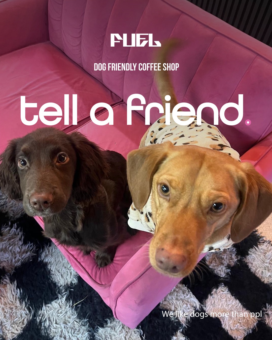 Fuel Coffeeworks dogs welcome campaign